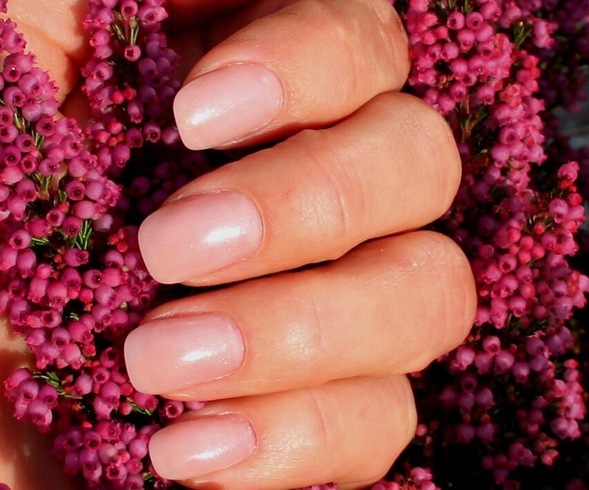 Das Beitragsfoto zeigt eine gepflegte Hand mit elegant lackierten Fingernägeln in zartem Rosé-Ton mit leichtem Schimmer. Die Nägel sind gleichmäßig gefeilt und wirken natürlich und stilvoll. Umgeben ist die Hand von leuchtend pink-violetten Blüten der Erika-Pflanze, was dem Bild eine frische, feminine und hochwertige Ästhetik verleiht – perfekt passend für ein Nagelstudio-Feature.