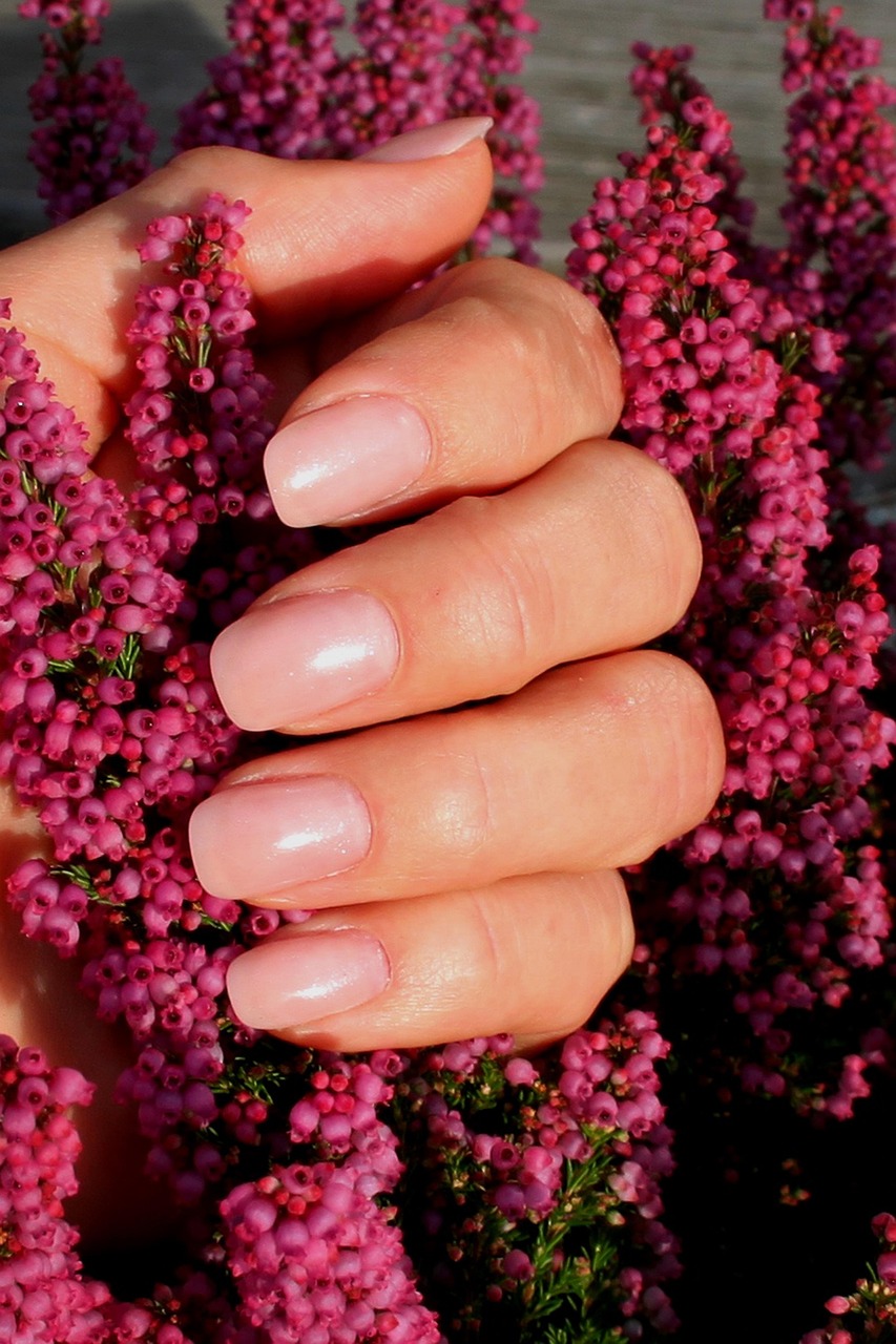 Das Beitragsfoto zeigt eine gepflegte Hand mit elegant lackierten Fingernägeln in zartem Rosé-Ton mit leichtem Schimmer. Die Nägel sind gleichmäßig gefeilt und wirken natürlich und stilvoll. Umgeben ist die Hand von leuchtend pink-violetten Blüten der Erika-Pflanze, was dem Bild eine frische, feminine und hochwertige Ästhetik verleiht – perfekt passend für ein Nagelstudio-Feature.