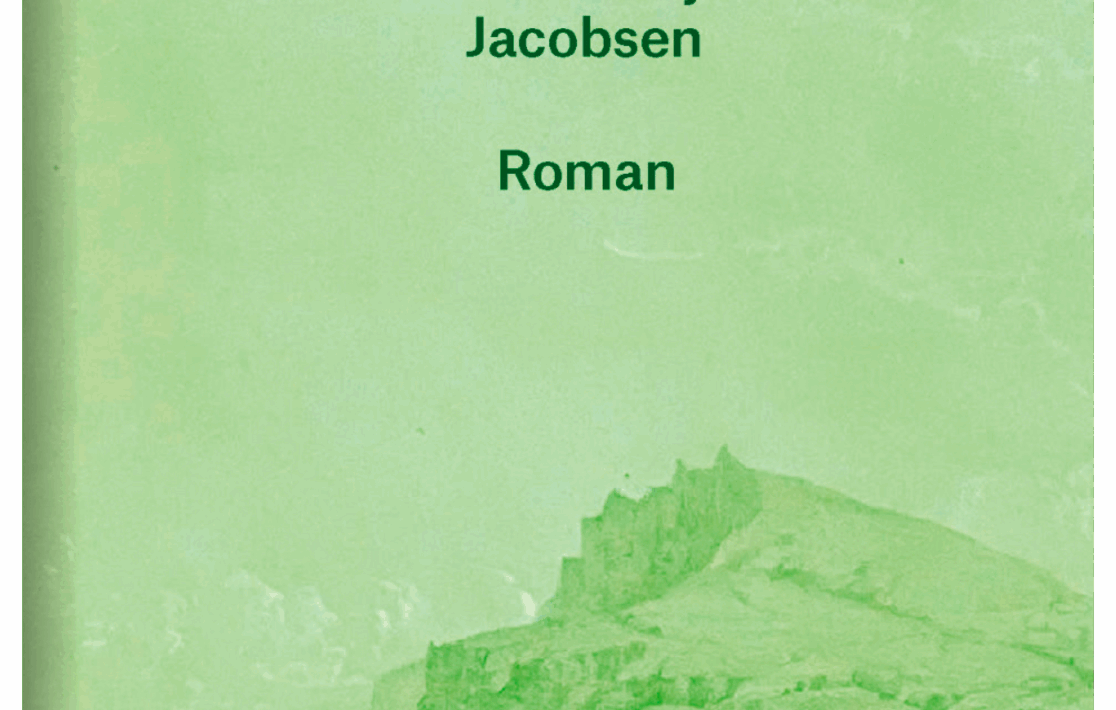 Insel - Siri Ranva Hjelm Jacobsen - Roman